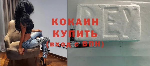 шишки Заволжье